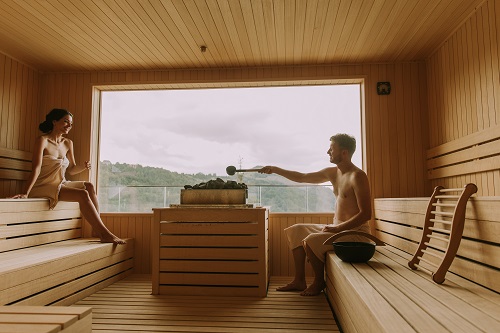 sauna en bois